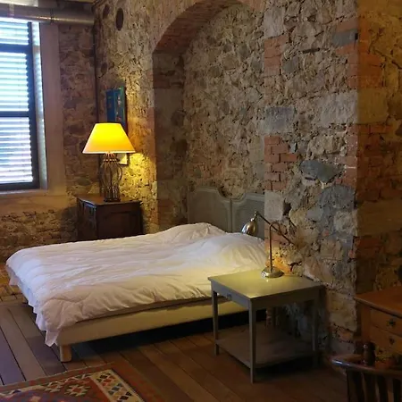 Grand Loft Avec Jardin.