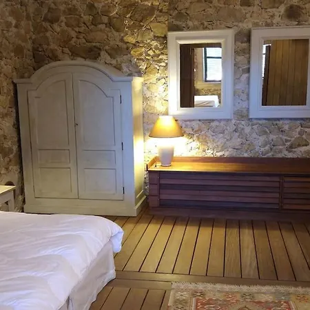 Grand Loft Avec Jardin.